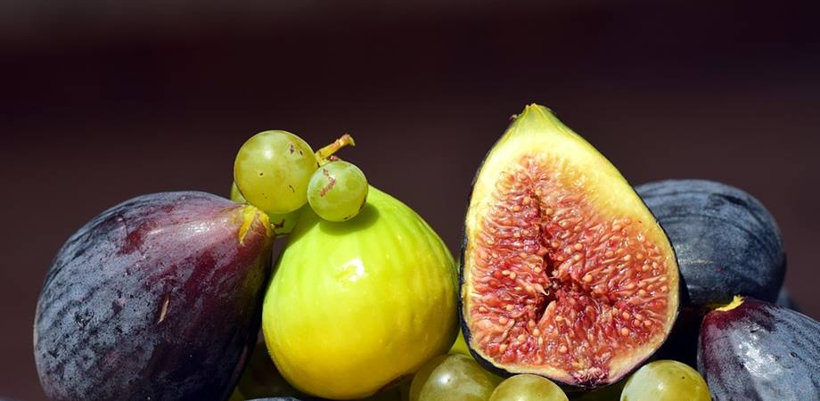 dieta mediteraneana fructe si legume