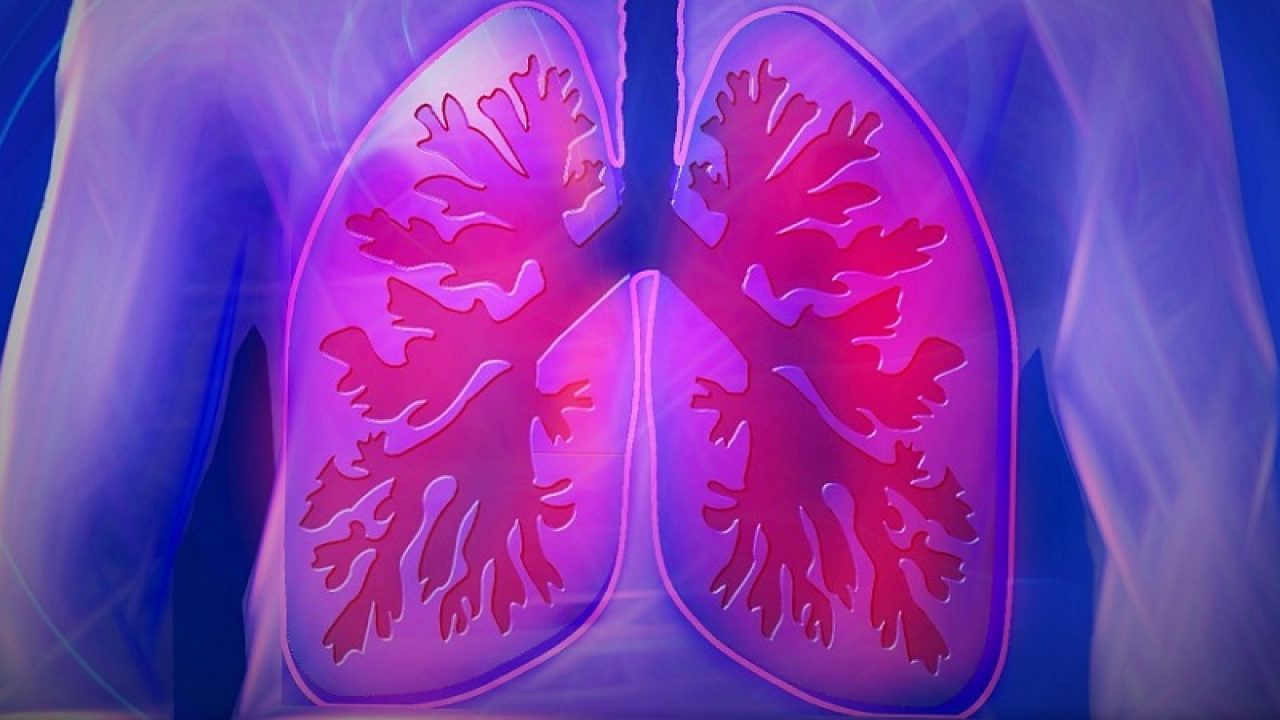 scăderea în greutate a abcesului pulmonar