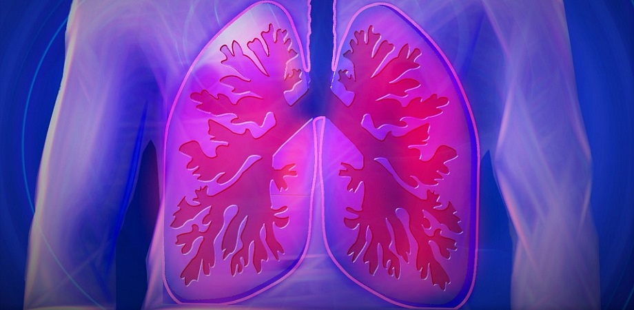 paraziți pulmonari hepatici