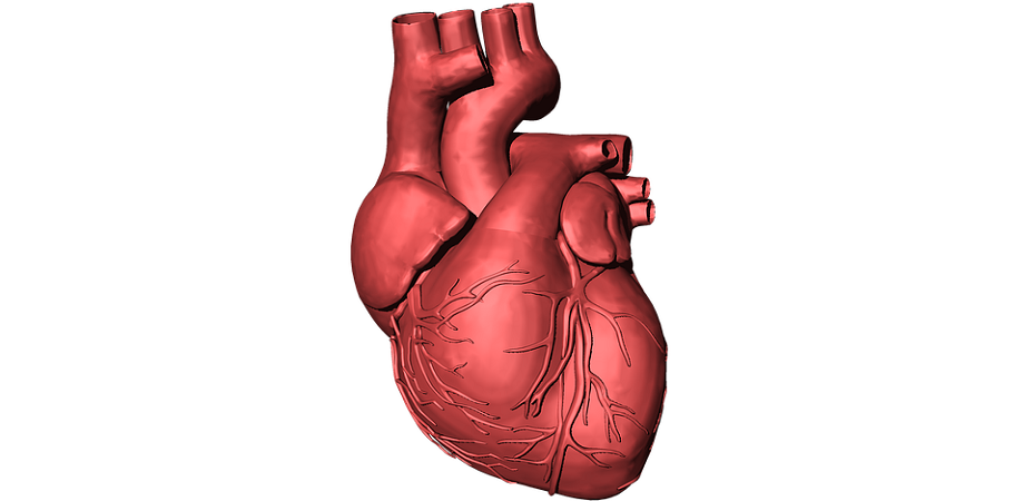 Aritmii cardiace