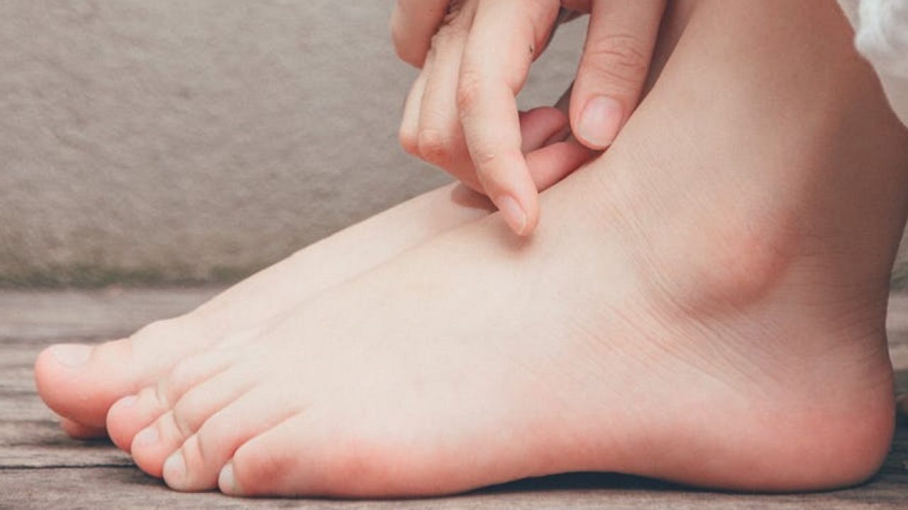 os talpa piciorului cauze ale durerii genunchiului în timpul flexiunii