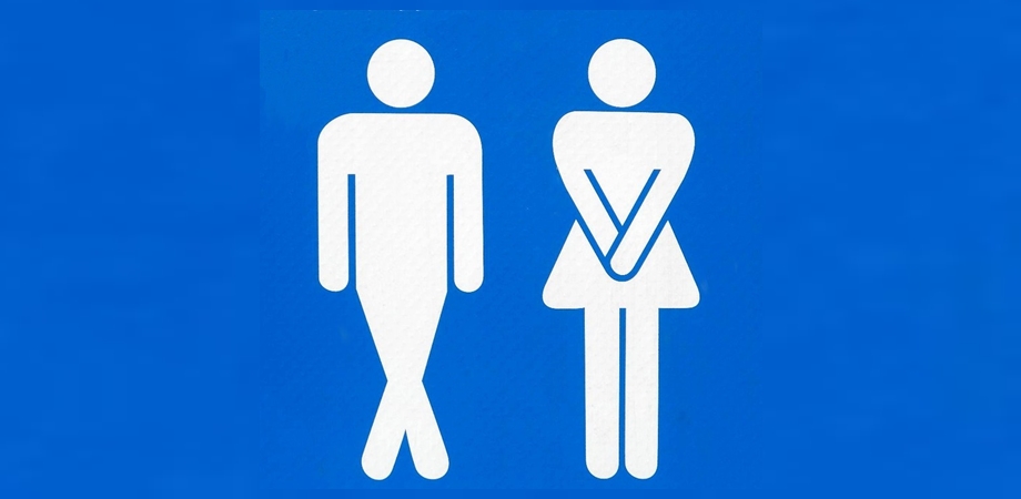 vezica urinara