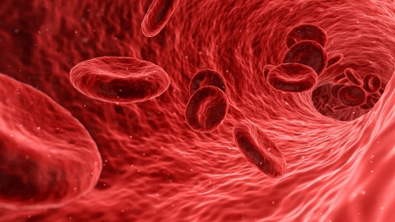 Totul despre anemie: de ce apare, cum se manifesta, remedii si preventie, Ce inseamna anemie