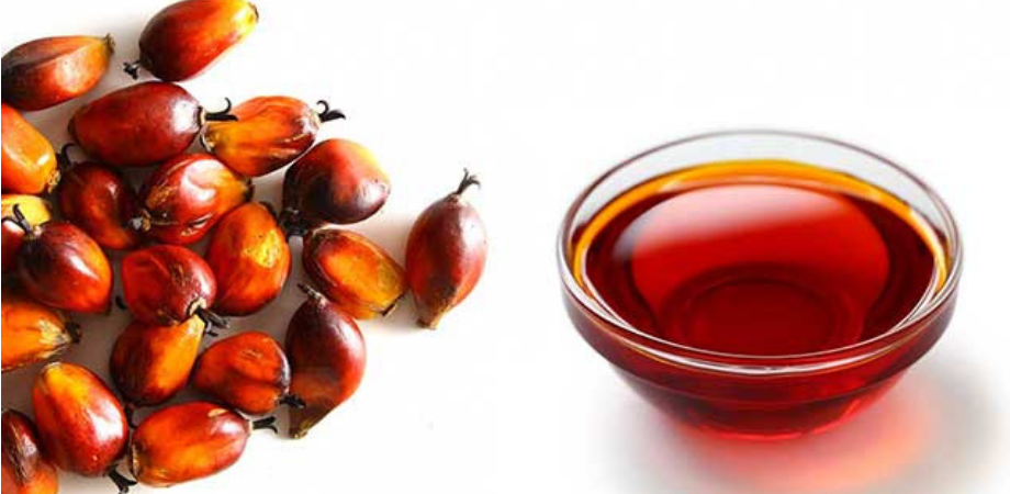 varicoza i ulei de palmier este ulei de semine de struguri varicoase