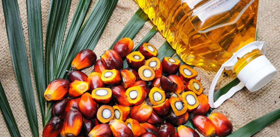 uleiul de palmier