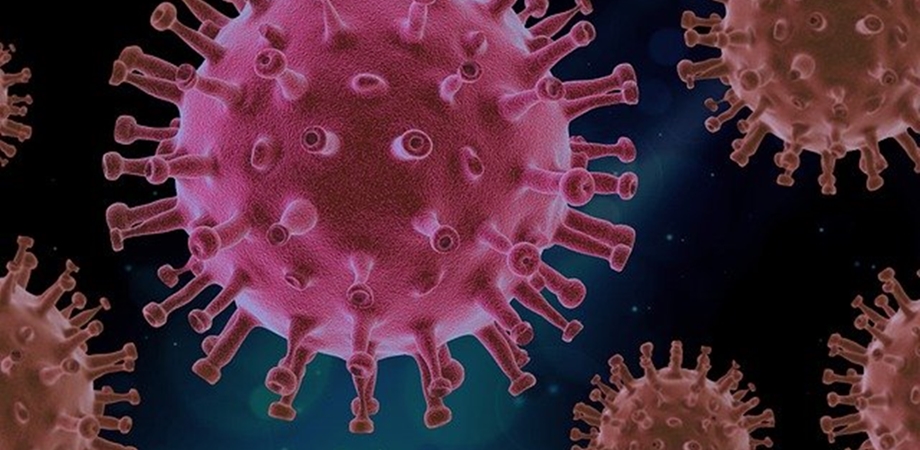 noul coronavirus