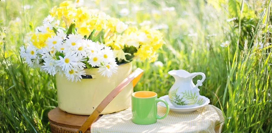 beneficii de ceai de slăbire)