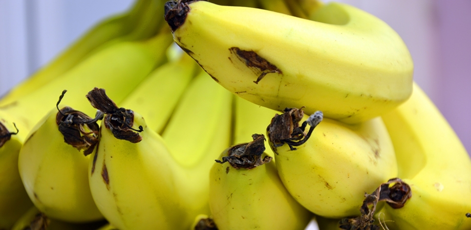 beneficiile consumului de banane