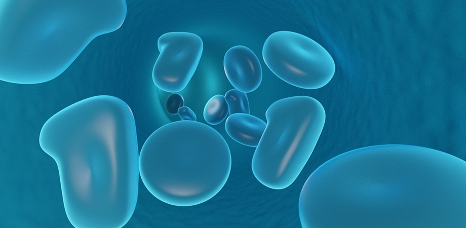 Cum să creșteți numărul de celule albe din sânge: 15 remedii naturale - Ingrijirea Pielii - 