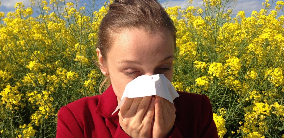 simptome de alergii la polen