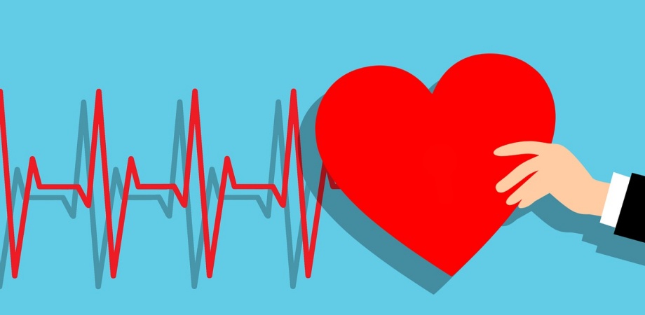 factori de risc pentru bolile de inima
