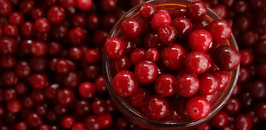 beneficii resveratrol