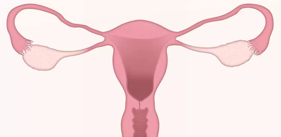 trompele uterine