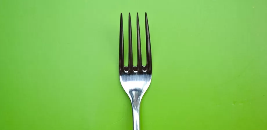 procesarea alimentelor