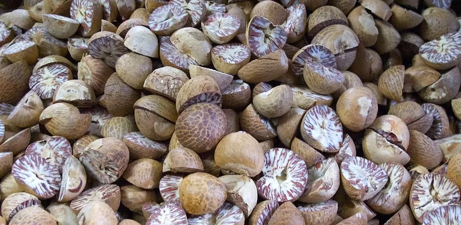 Compozitia si valorile nutritionale ale nucsoarei