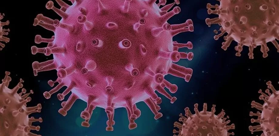 noul coronavirus