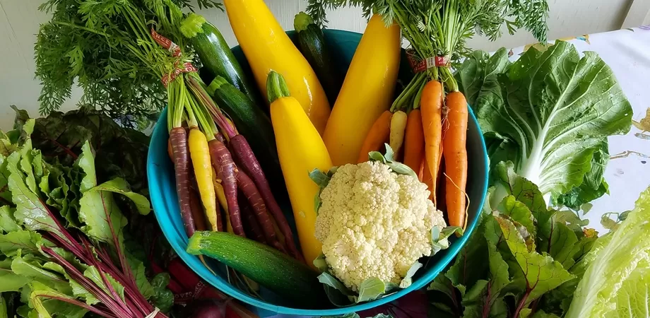 alimentele cele mai sanatoase