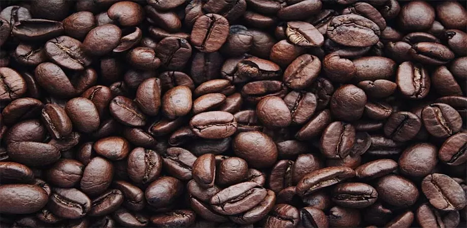 Ce este acidul cafeic?