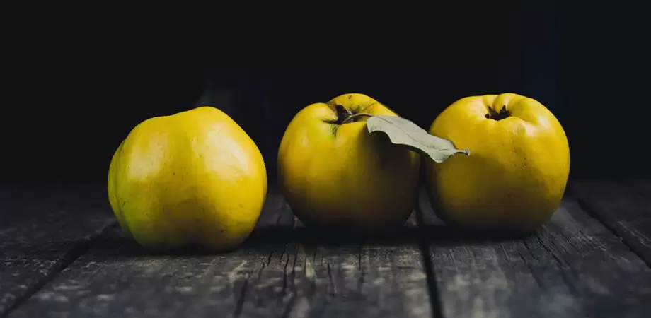 gutui compozitie nutritiva si beneficii