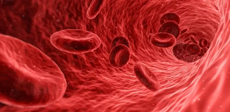 ateroscleroza si arterioscleroza