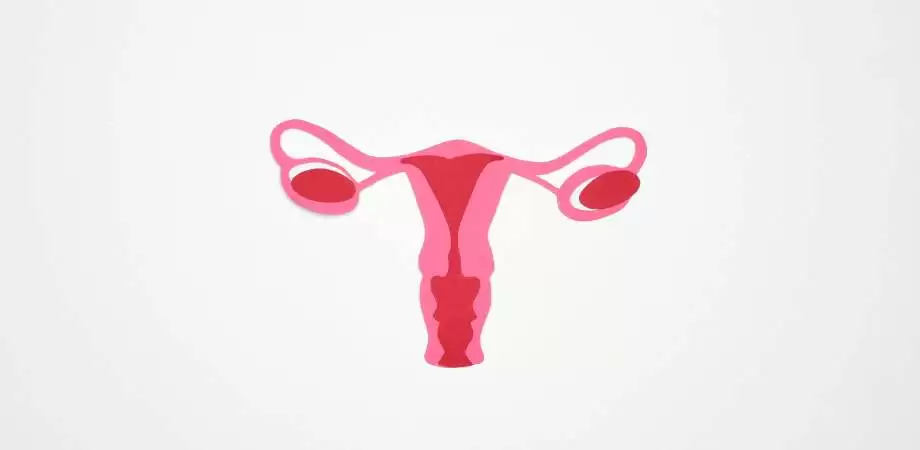 ce este atrofia vaginala