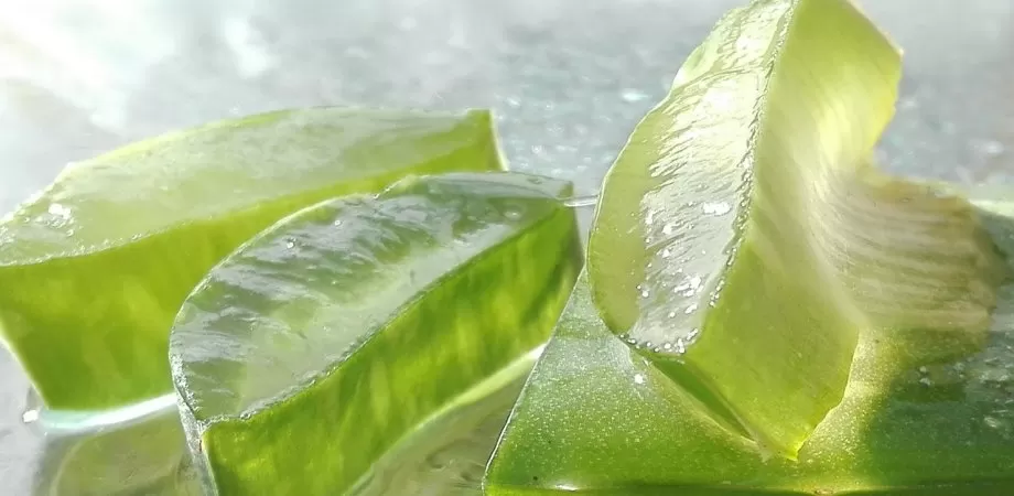 beneficii suc de aloe